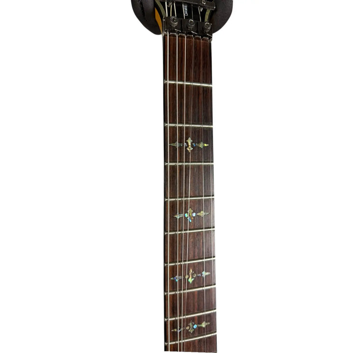 Schecter Diamond Series Schecter