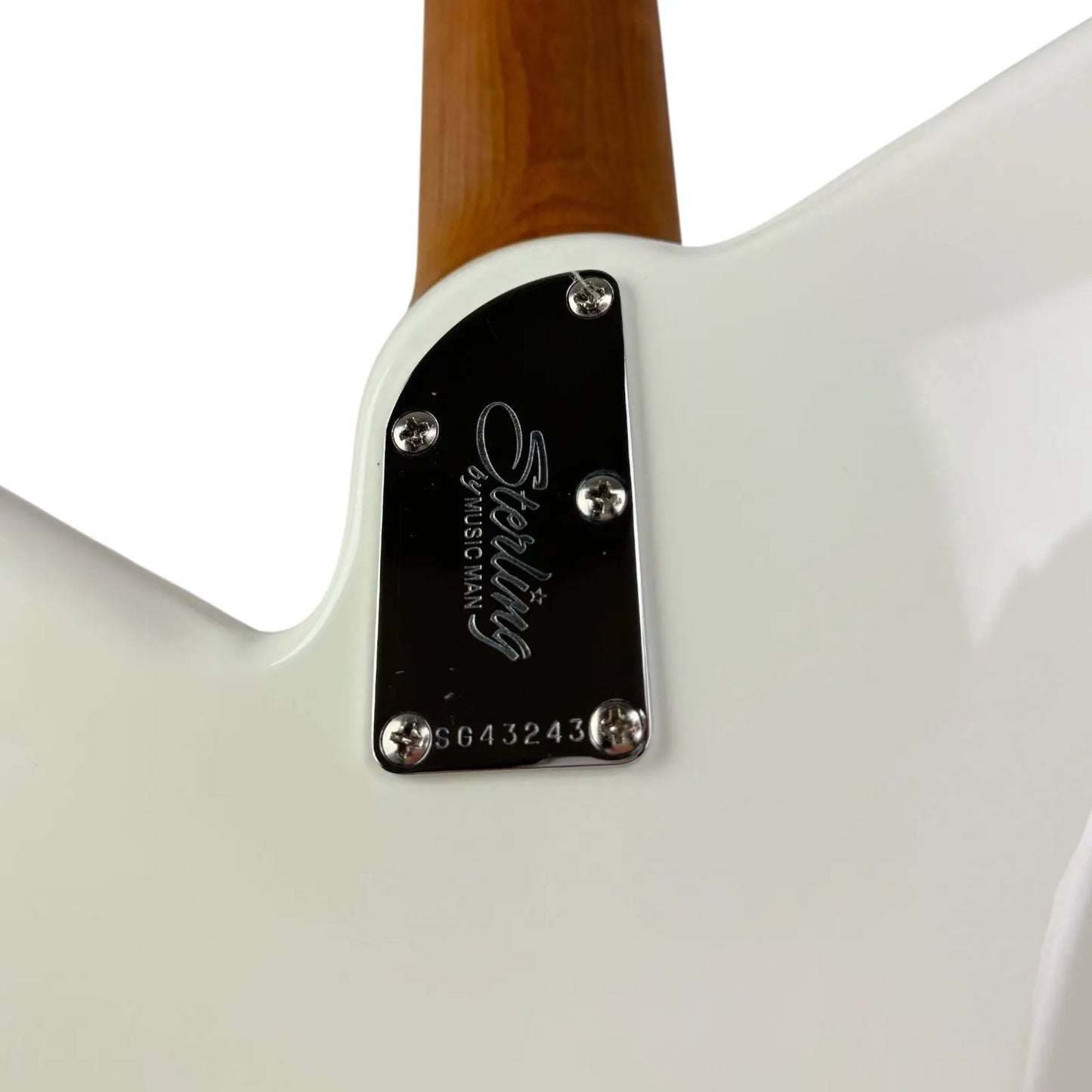 Music Man Sterling Mariposa White Music Man Sterling