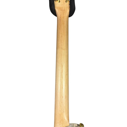 Taurus Taurus