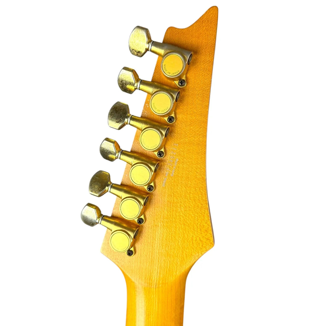 Ibanez PGM500 Pat´s Guitars