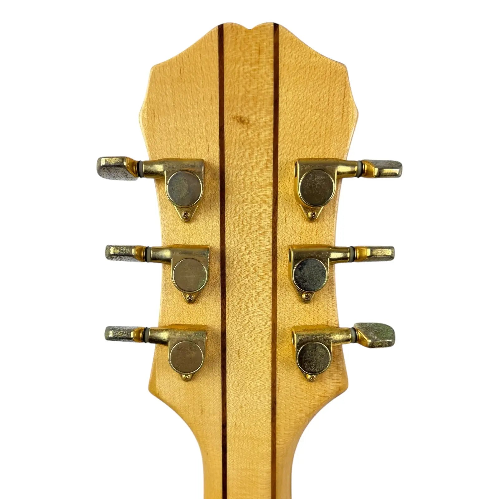 Epiphone Sheraton Halbakustik Epiphone