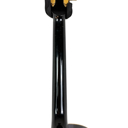 ESP AS-300 Alfee Akustik - Black - Defekt
