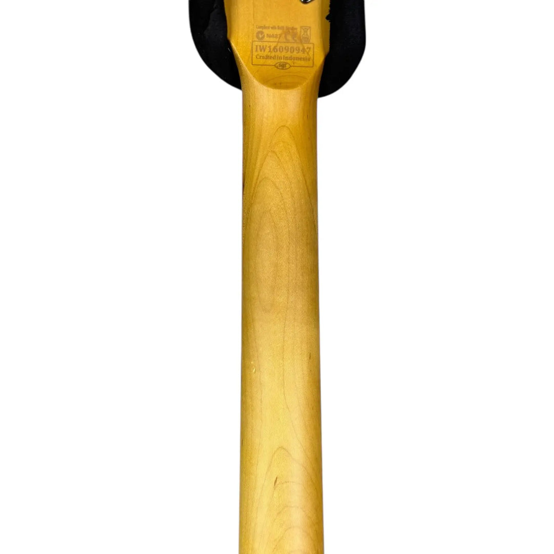 Schecter Pat´s Guitars