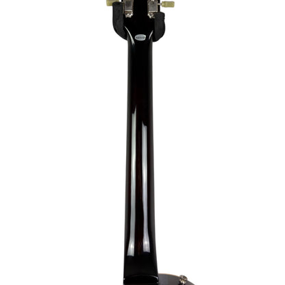 Burny Les Paul - Altınüstü