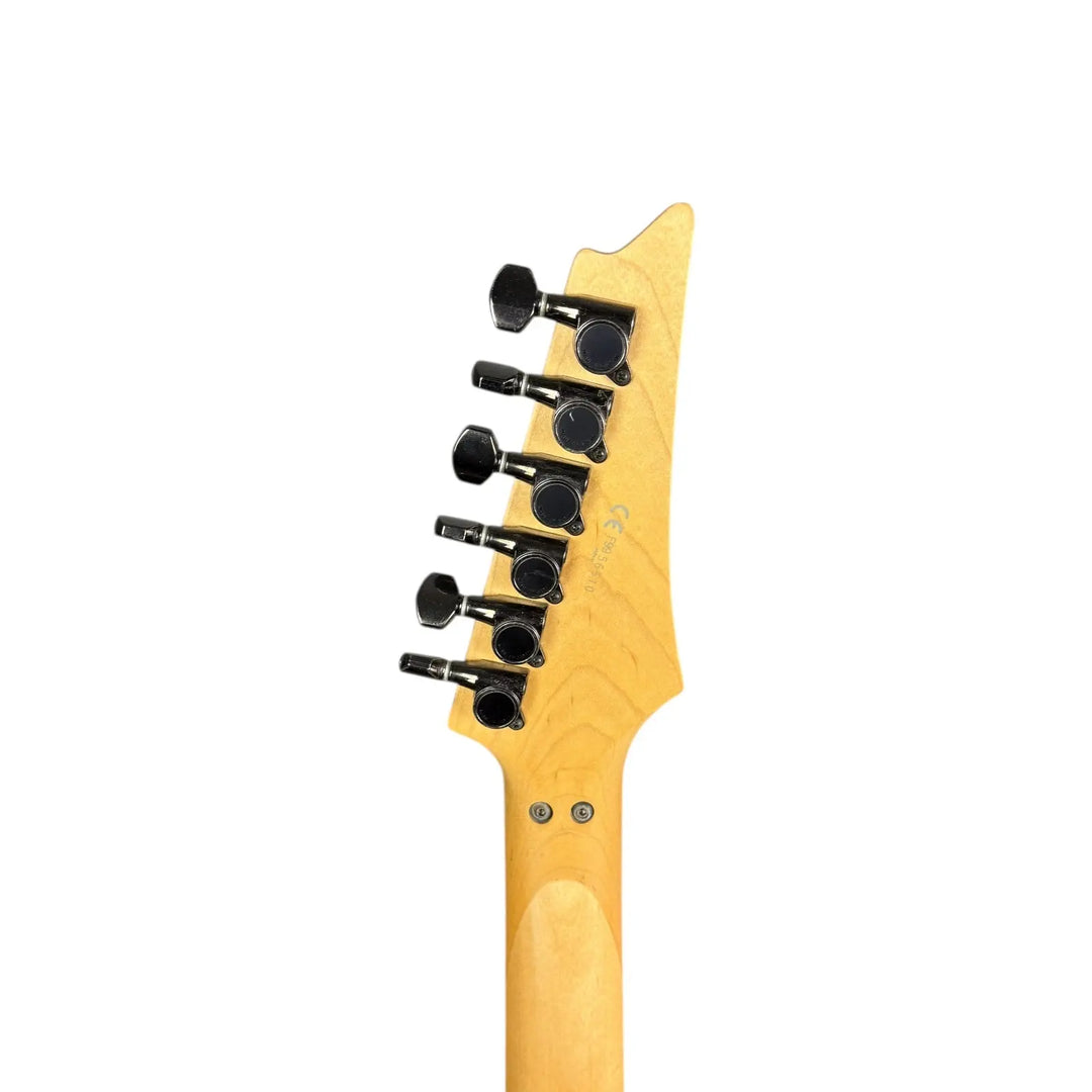 Ibanez PGM Series Ibanez