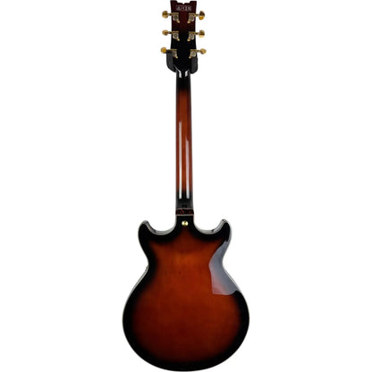 Ibanez Semihollow Ibanez