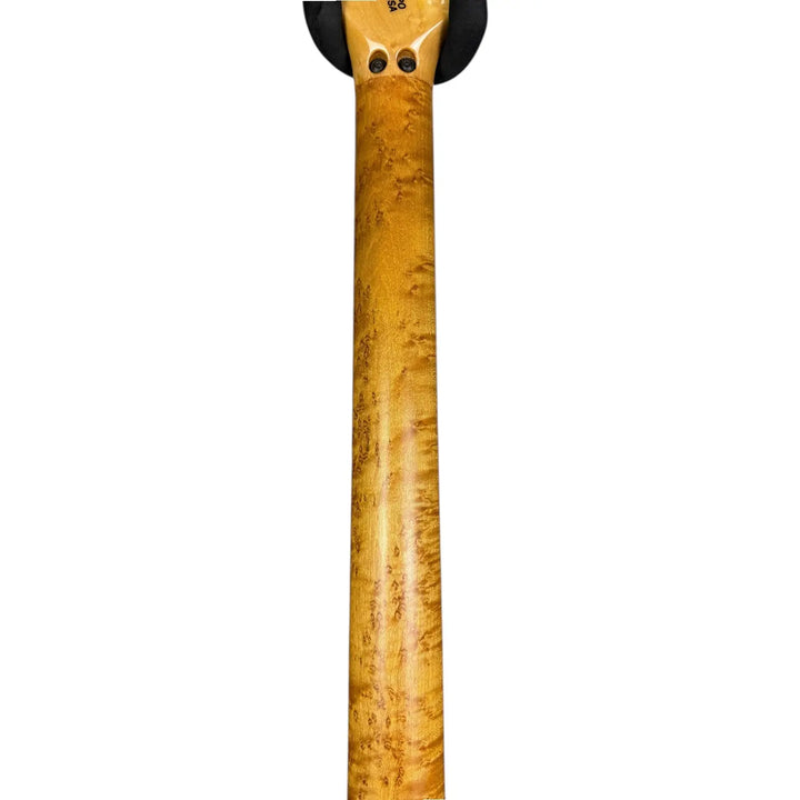 Musicman by Ernie Ball Luke Music Man Ernie Ball