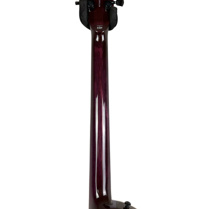 ESP LTD EC-1000 Deluxe 2022 - See Thru Purple