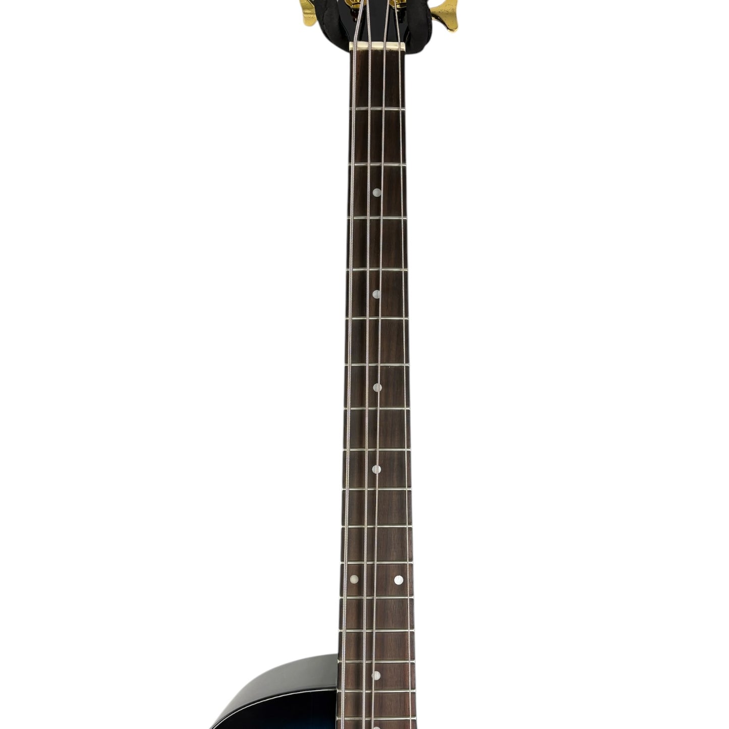Steiner Basse Acoustique - Dark Blue Burst