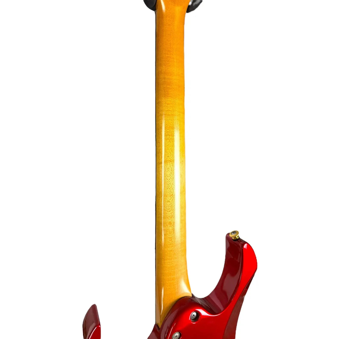 Ibanez PGM500 Pat´s Guitars