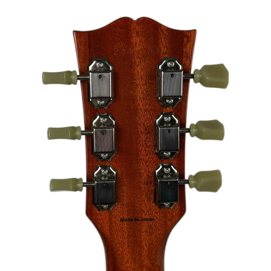 Tokai Love Rock Tokai