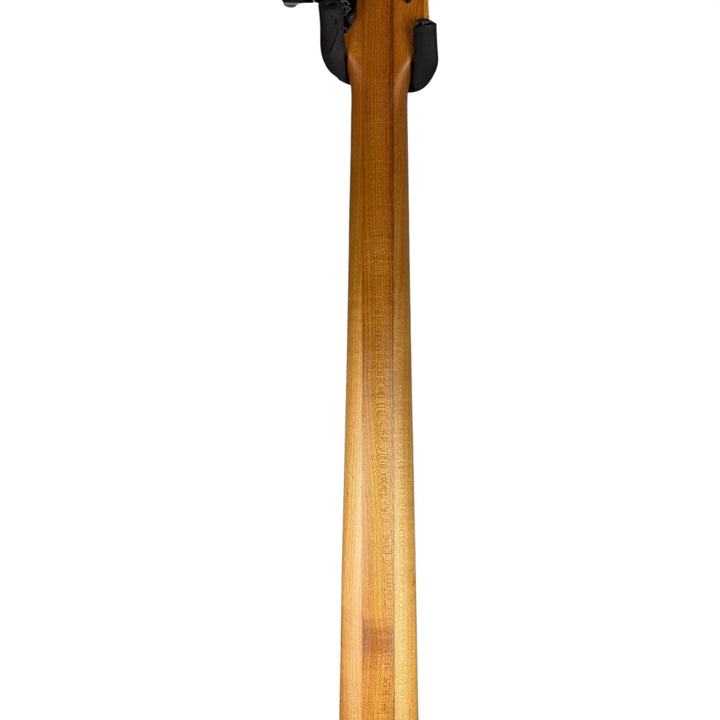 Spector Bass 5 String Spector