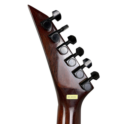 Hohner Professional SG Lion 1987