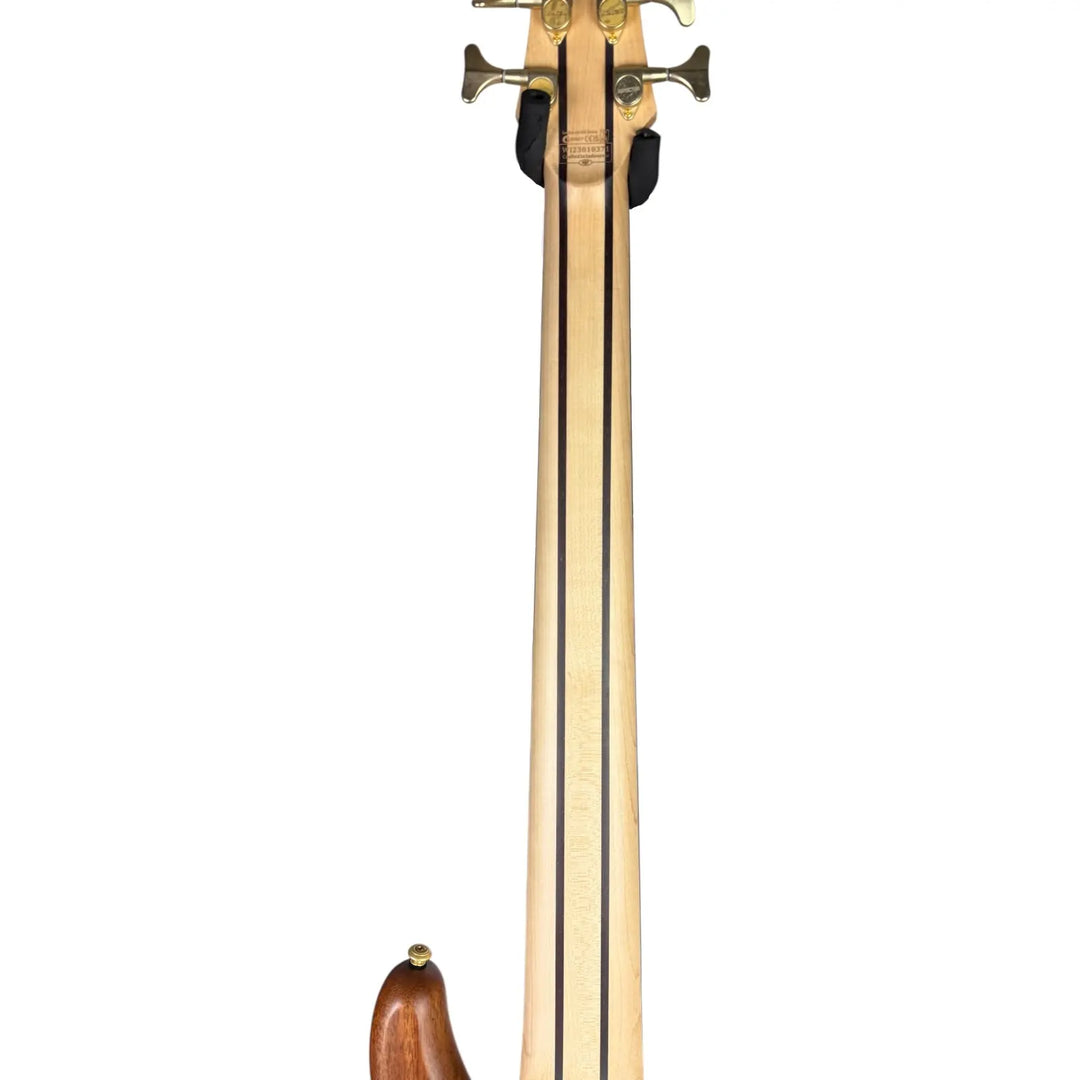 Schecter Diamond Series Schecter