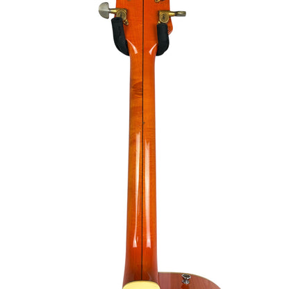 Gretsch 6120TM Chet Atkins 2009 - Orange Stain