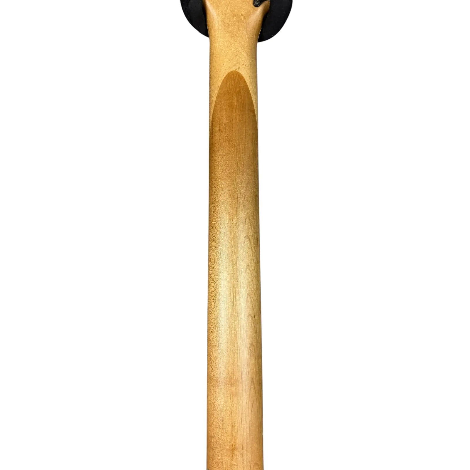Ibanez Ibanez