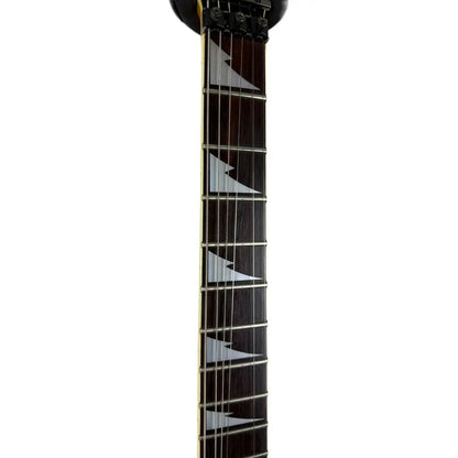 Ibanez Kommission Pat´s Guitars