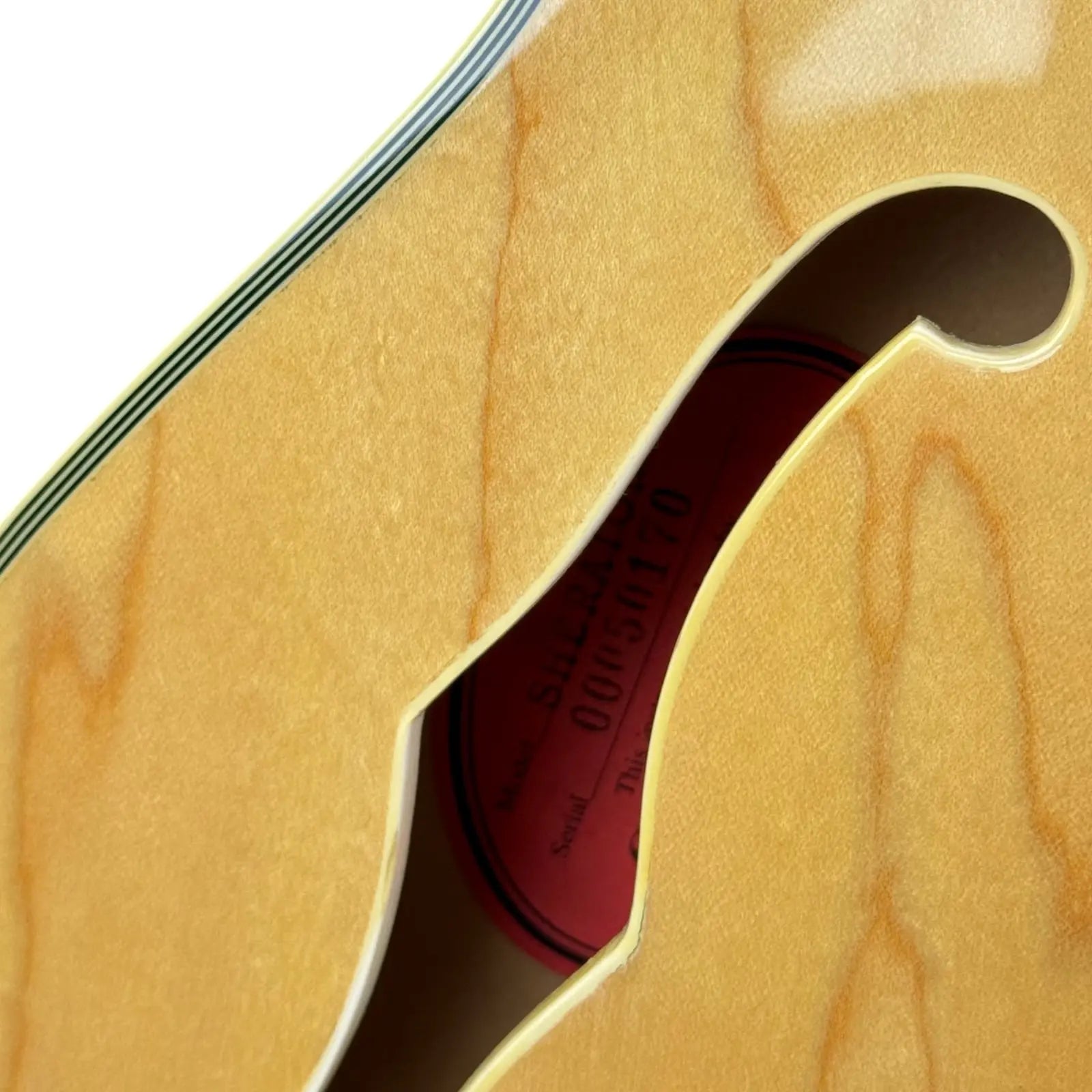 Epiphone Sheraton Halbakustik Epiphone