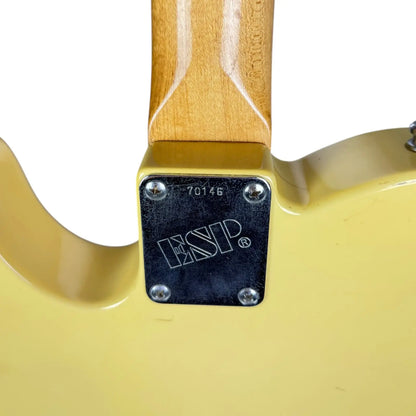 ESP Traditional ESP