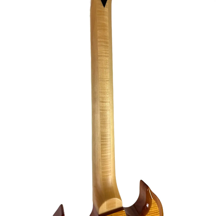 Wylde Audio Barbarian 2022 - Rawtop Psychic Bullseye - Pat´s Guitars