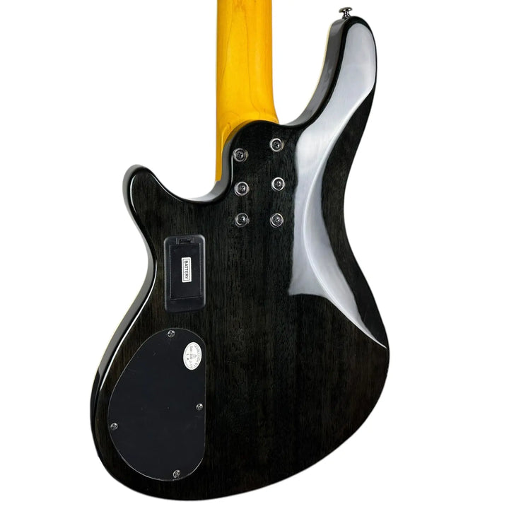 Schecter Diamond Series Schecter