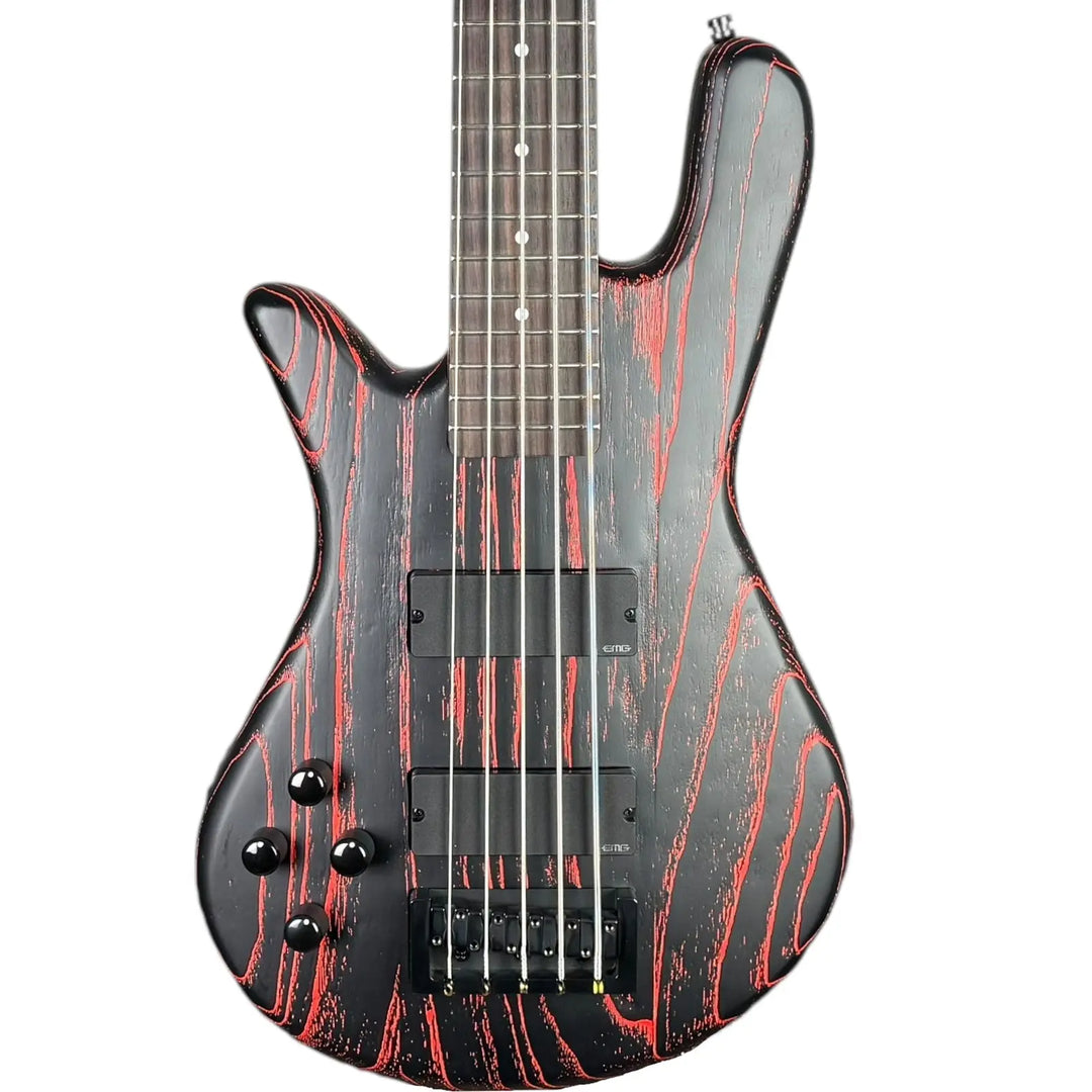 Spector Bass 5 String Spector
