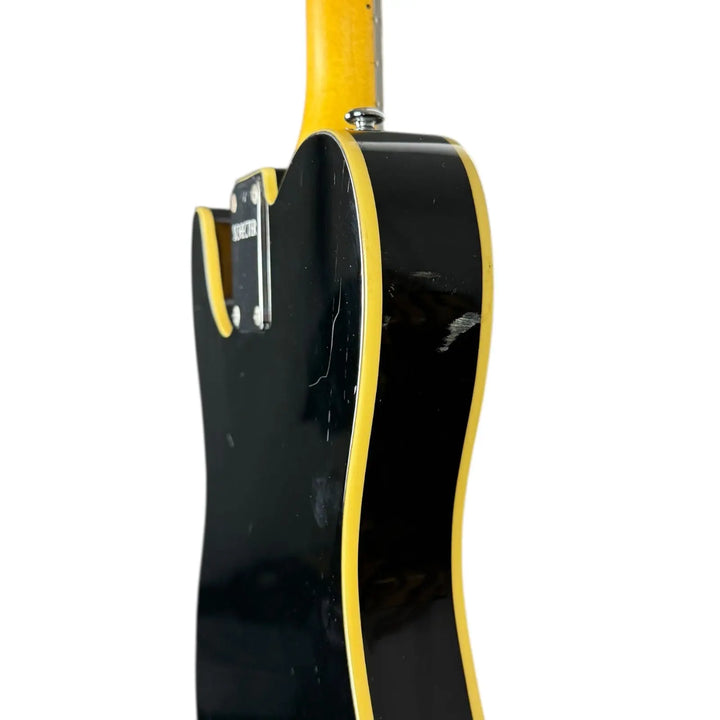 Schecter Diamond Series Schecter