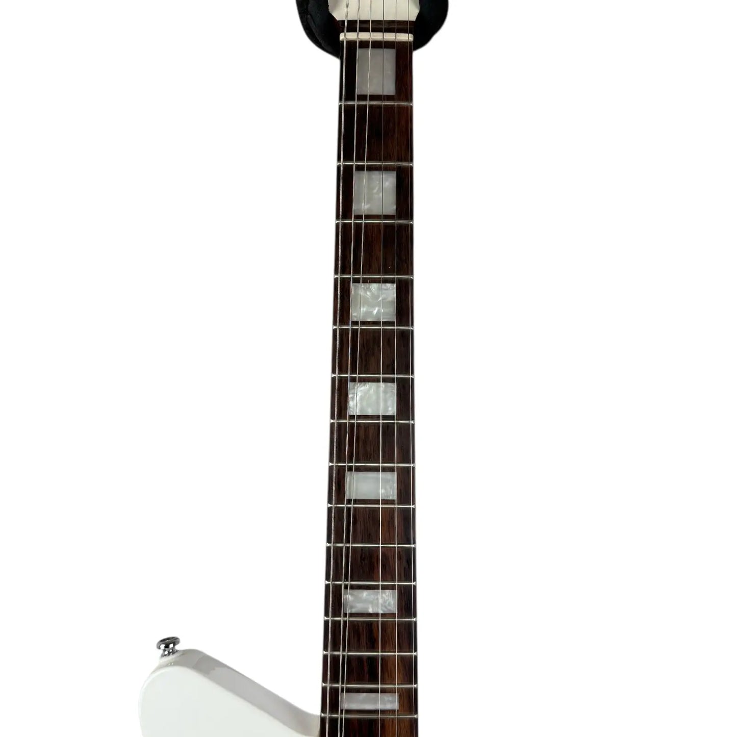 Music Man Sterling Mariposa White Music Man Sterling