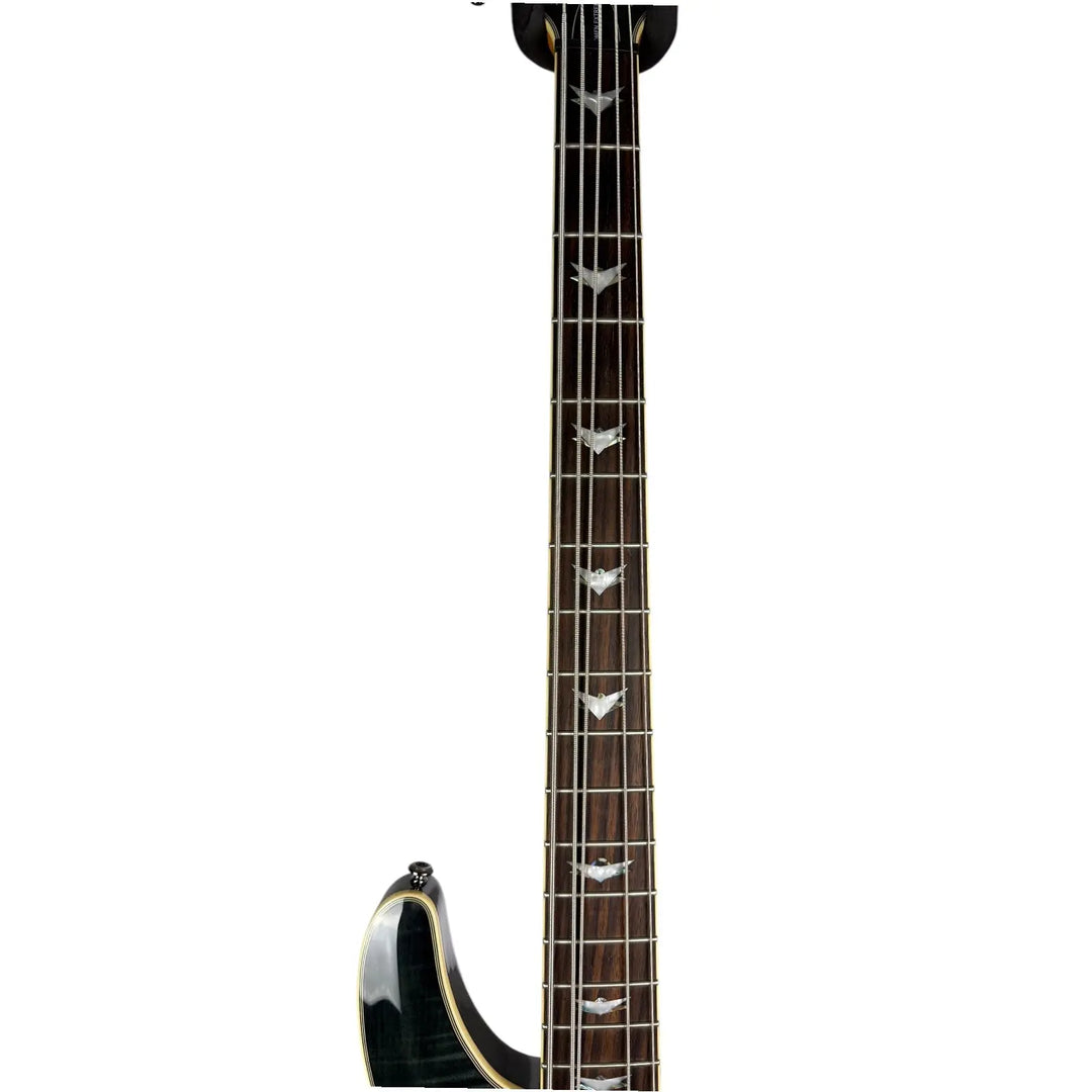 Schecter Diamond Series Schecter
