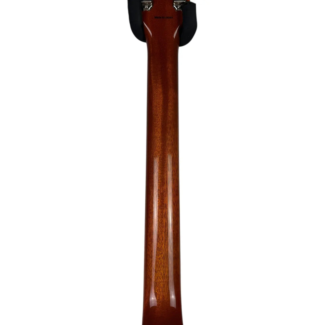 Tokai Love Rock Tokai