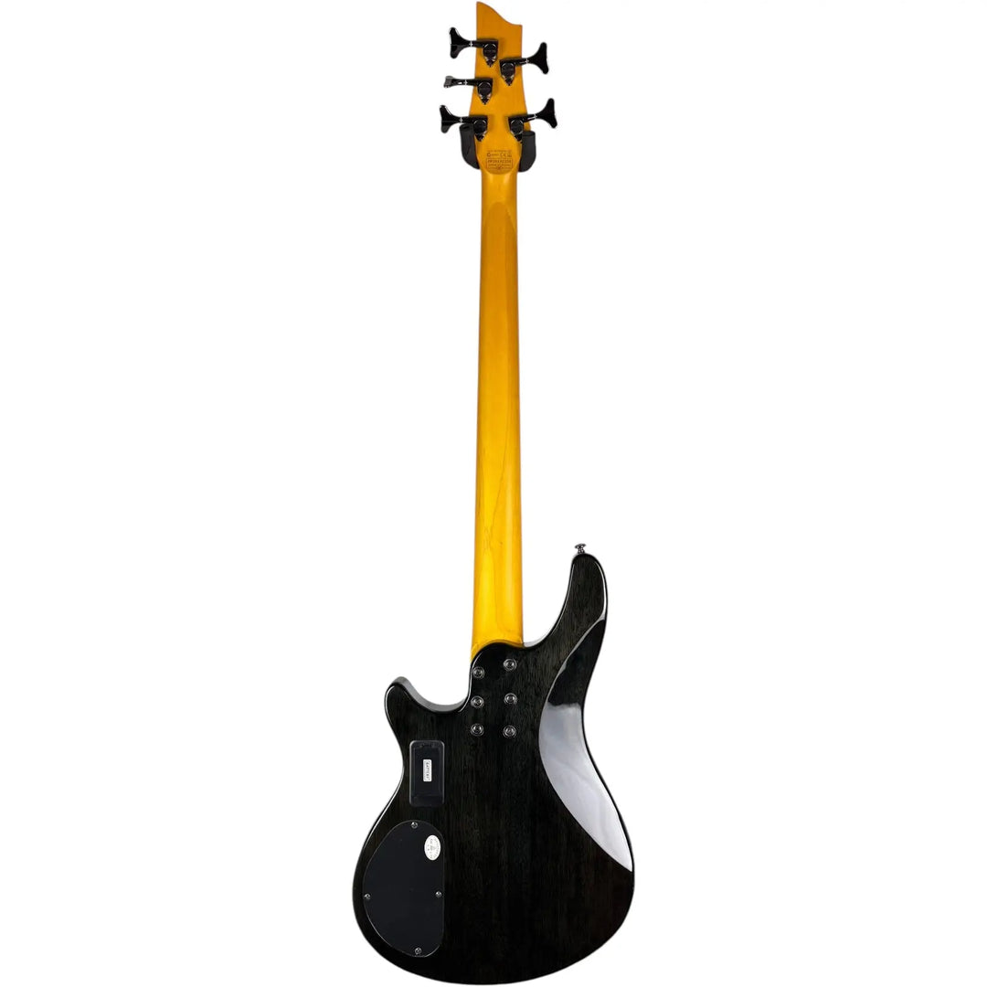Schecter Diamond Series Schecter
