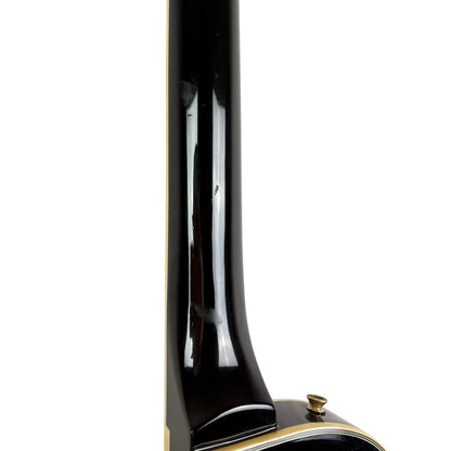 Burny Les Paul 2010 - Ebony