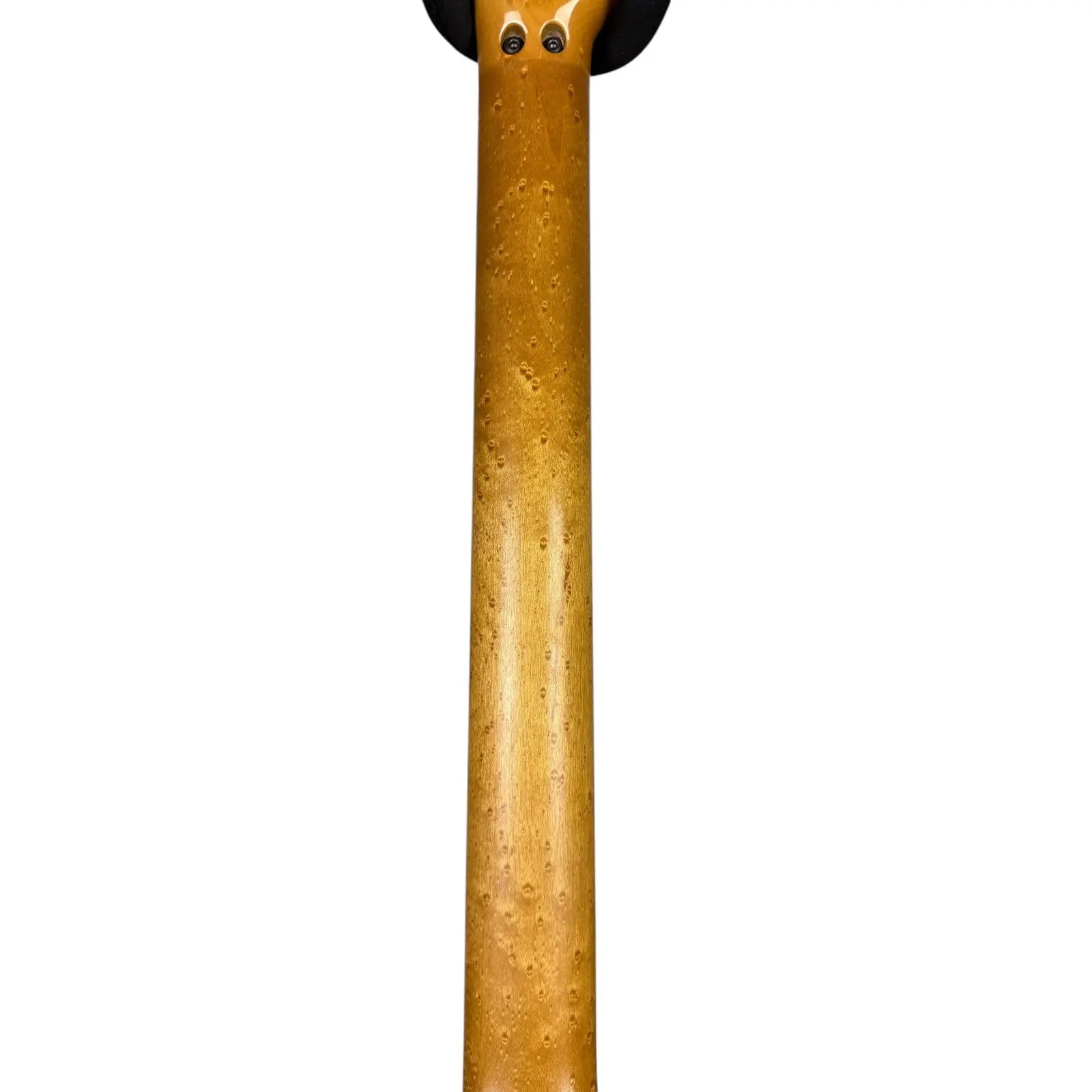 Musicman by Ernie Ball Music Man Ernie Ball