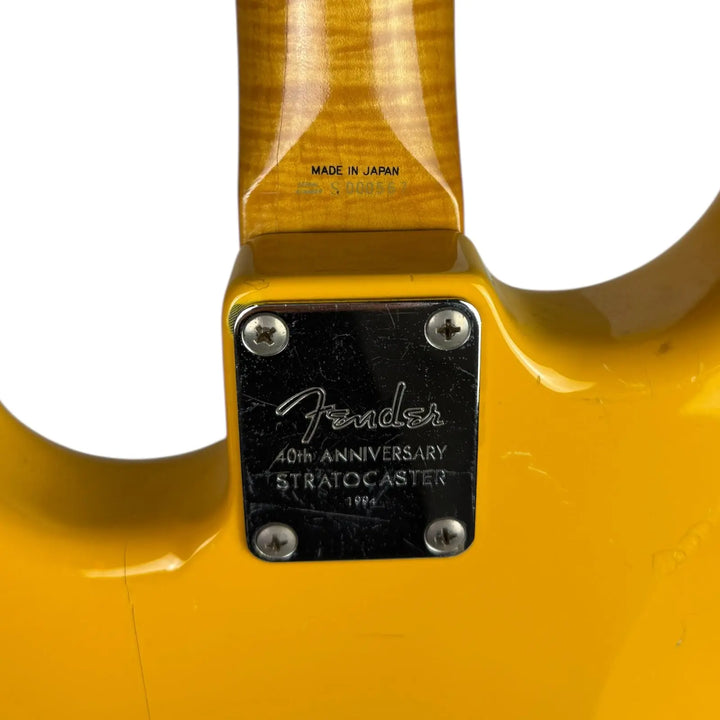 Fender Stratocaster Fender