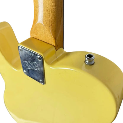 ESP Traditional ESP