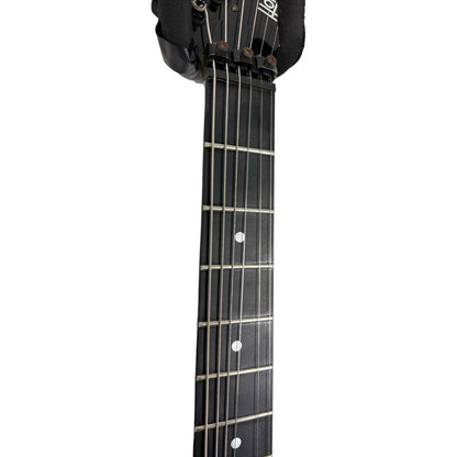 Hohner Professional SG Lion 1987