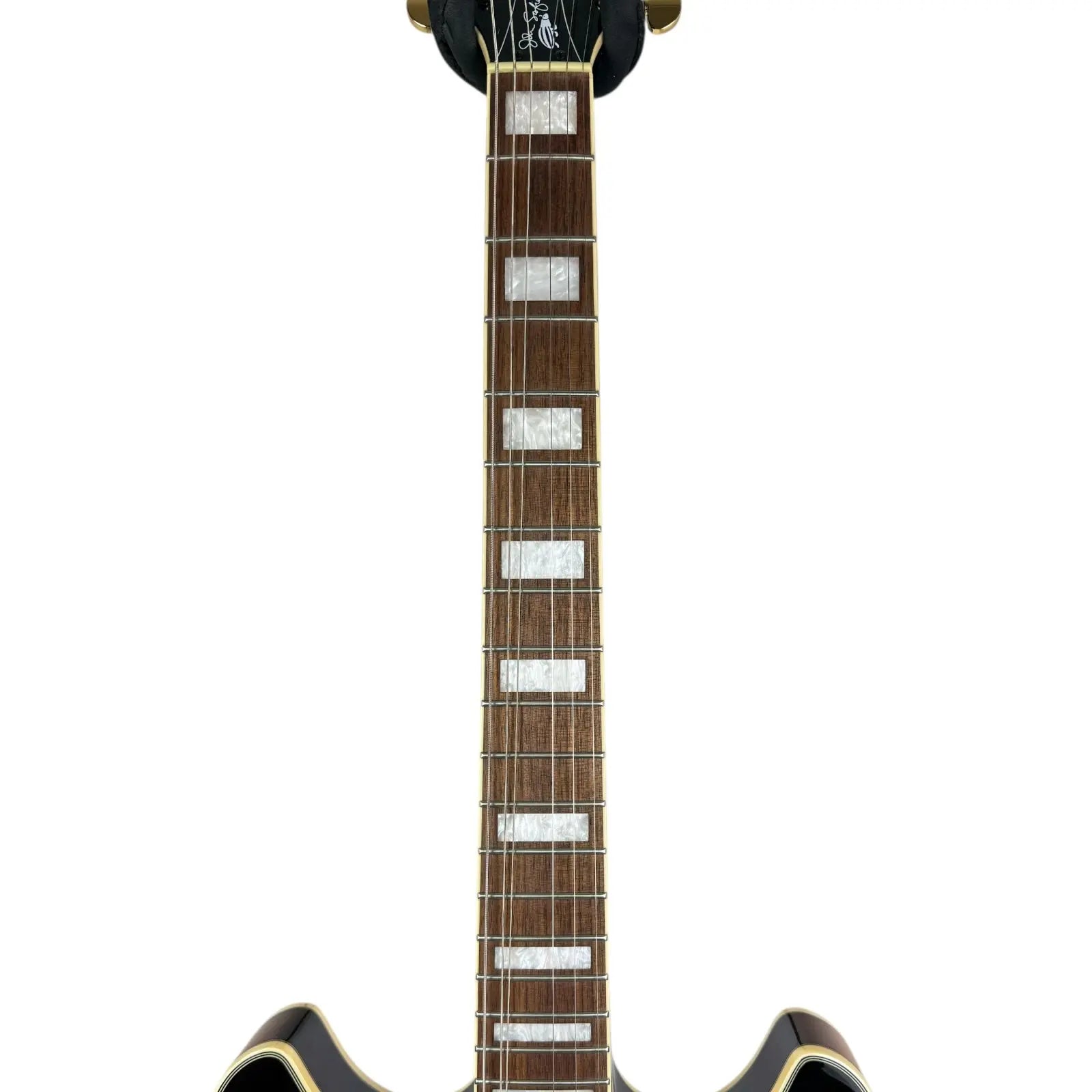 Ibanez John Safield Semihollow Ibanez