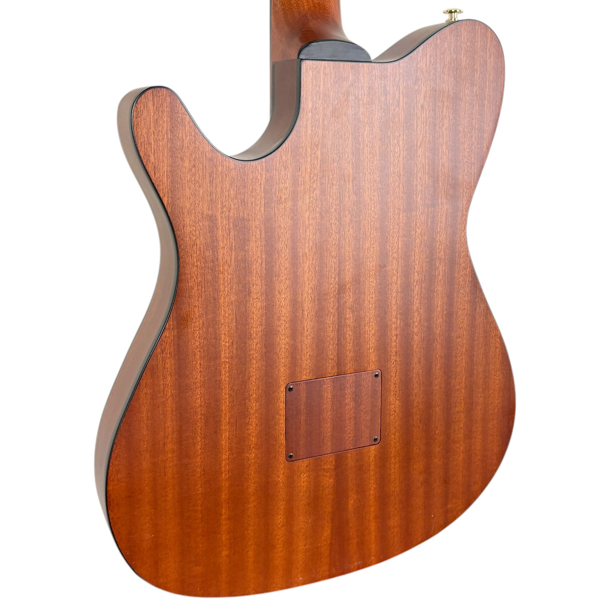 Ibanez FRH10N-NTF Akustik 2023 - Natural