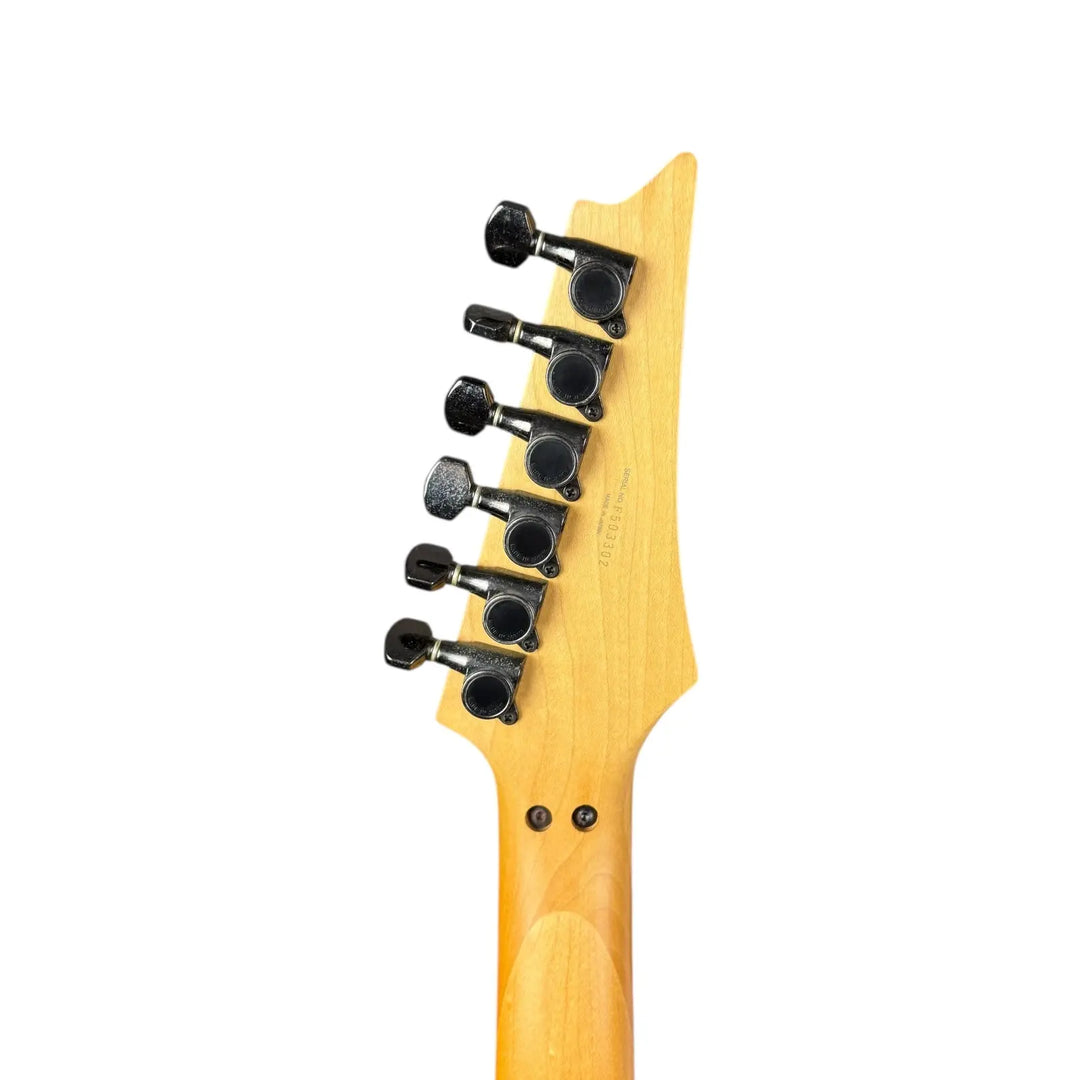 Ibanez PGM Series Ibanez