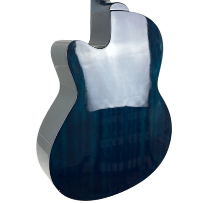 Steiner Basse Acoustique - Dark Blue Burst