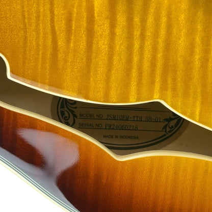 Ibanez John Safield Semihollow Ibanez