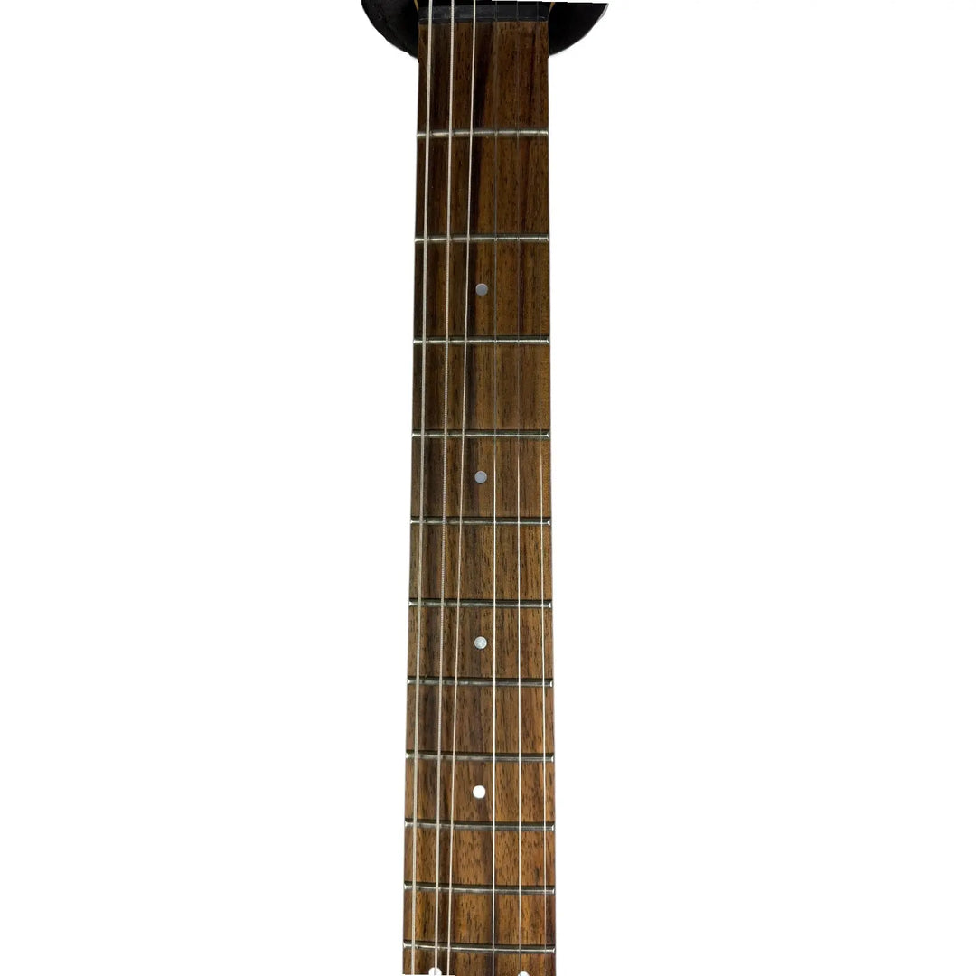 Ibanez FR320 Series Ibanez