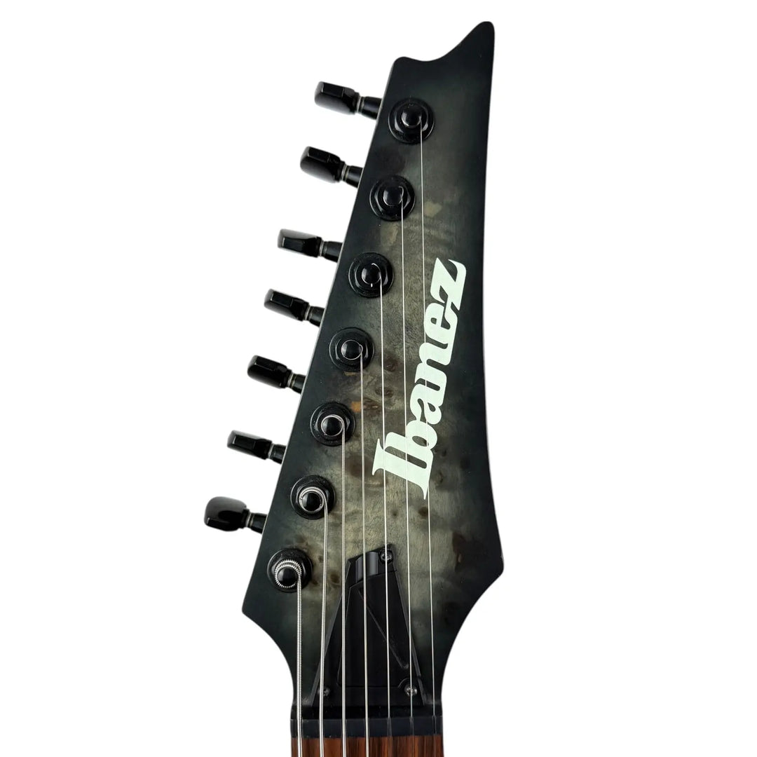 Ibanez Ibanez