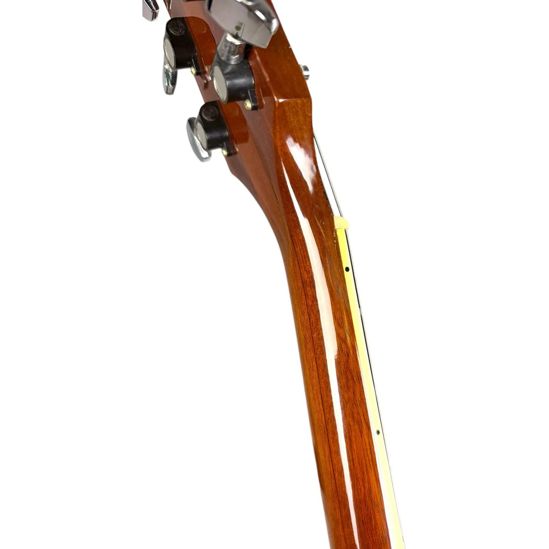 Aria Pro II PE-140 1976 - Mahogany Aria