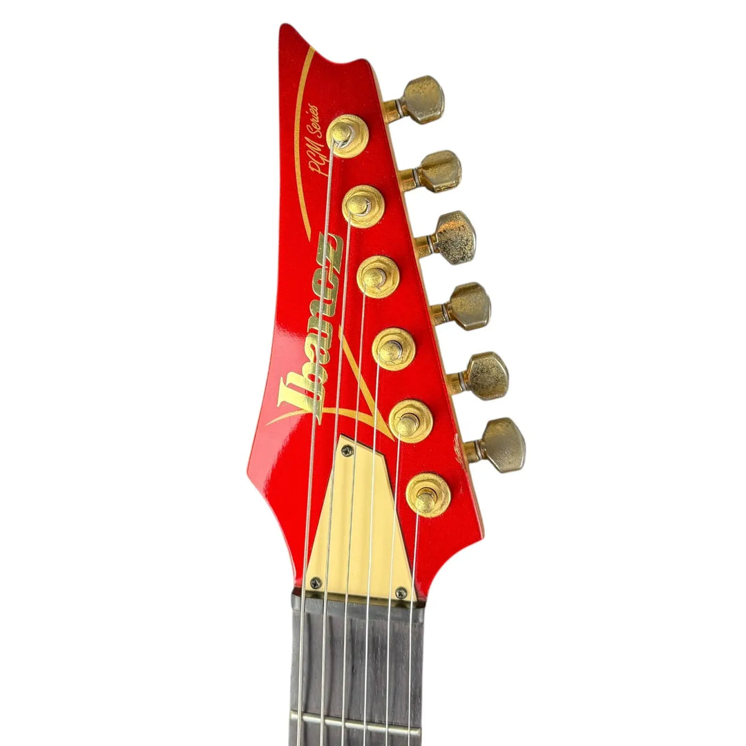 Ibanez PGM500 Pat´s Guitars
