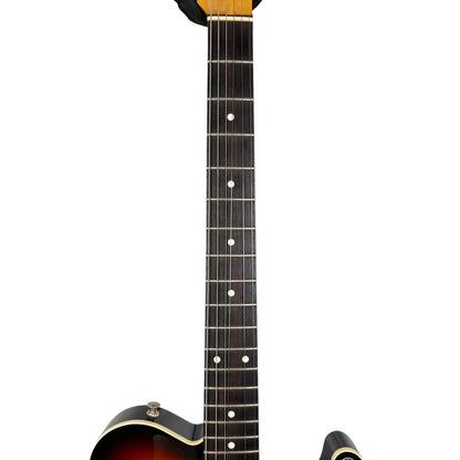 CoolZ Japan Fujigen Telecaster 2012 - Sunburst