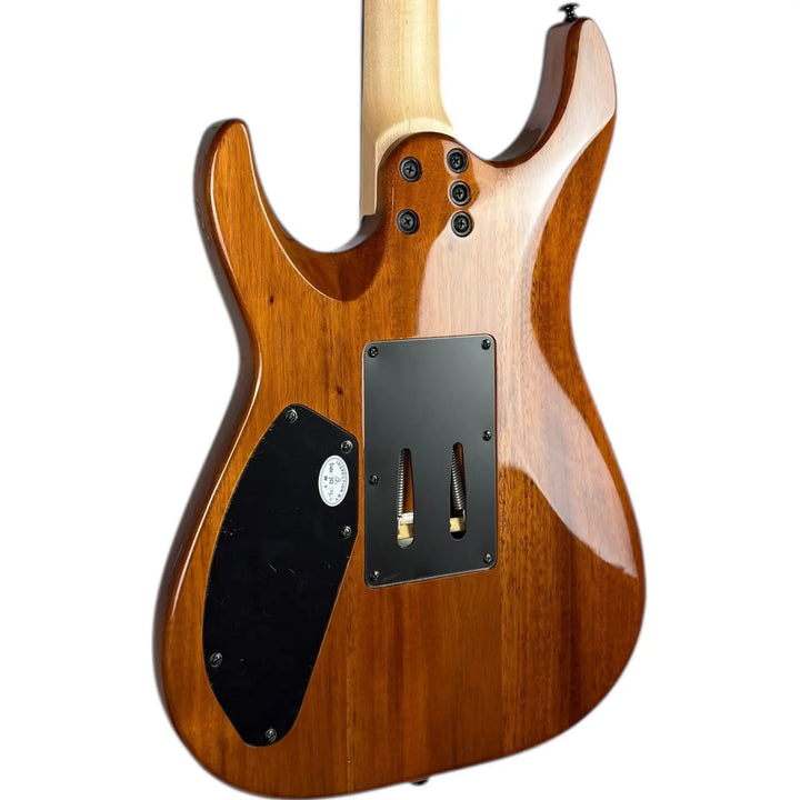 Schecter Diamond Series C-6 FR PRO Schecter