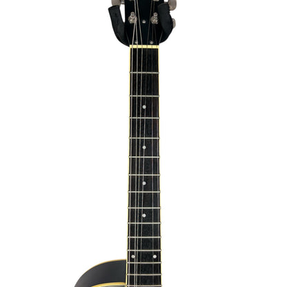 Harley Benton Resonator - Černá