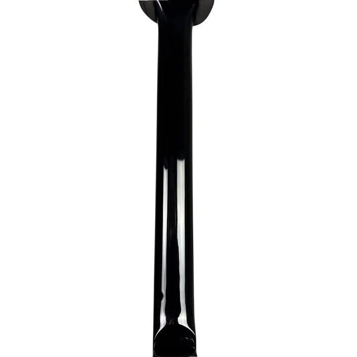 Epiphone Emily the Strange Epiphone