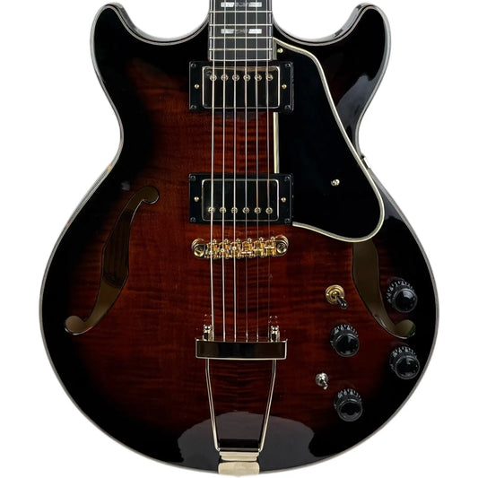 Ibanez Semihollow Ibanez